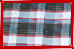 Texpro Industries Cotton Check Fabric
