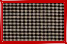 Texpro Industries Gingham Check Fabric